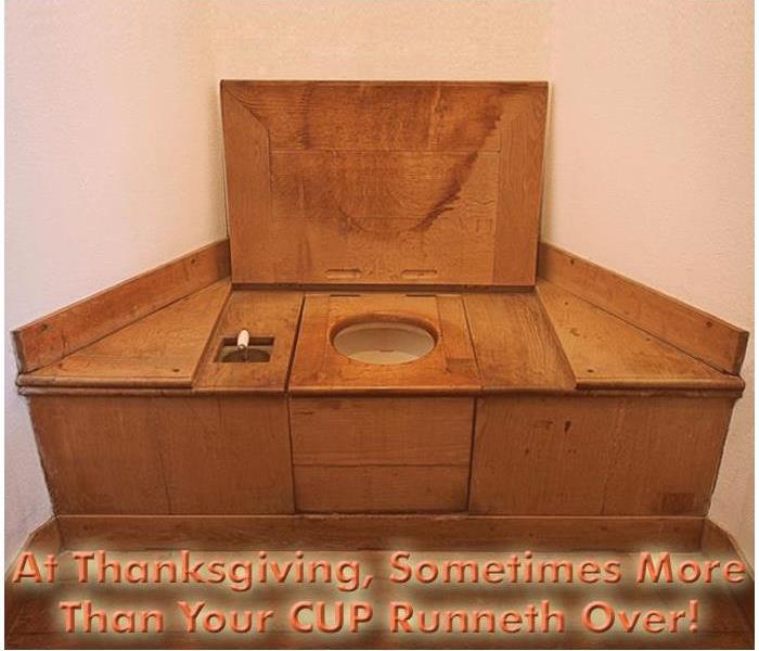 The bathroom gets a major workout during Thanksgiving weekend, and sometimes it’s NOT up to the task!